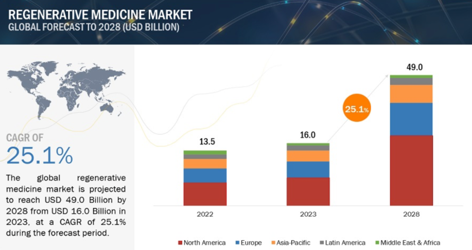 How Eternity Life Clinic is entering the markets of Georgia, Bulgaria, and Cyprus: our case study