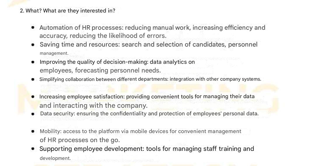 Developing a marketing strategy for the MayBee HRM platform: our case study